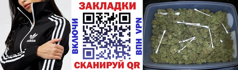 Купить наркотики цена Снежногорск ГАШ  Каннабис  Меф 