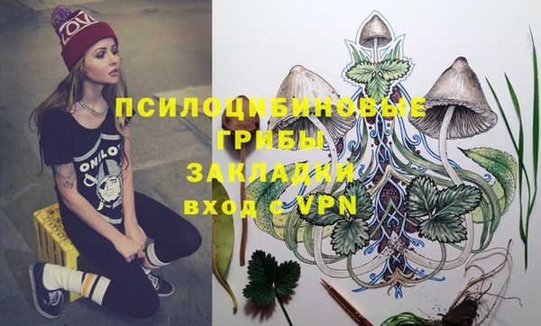 кокаин премиум Алексеевка