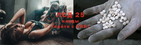 спиды Михайловка