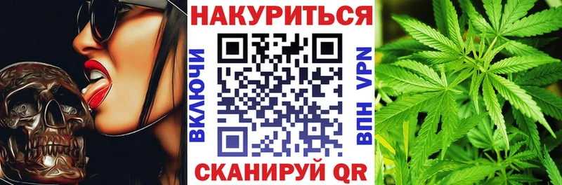 Бошки марихуана марихуана  kraken tor  площадка официальный сайт  Снежногорск 